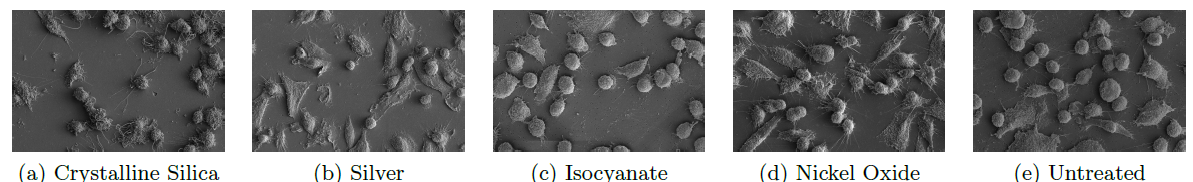 Texture Analysis Visualization