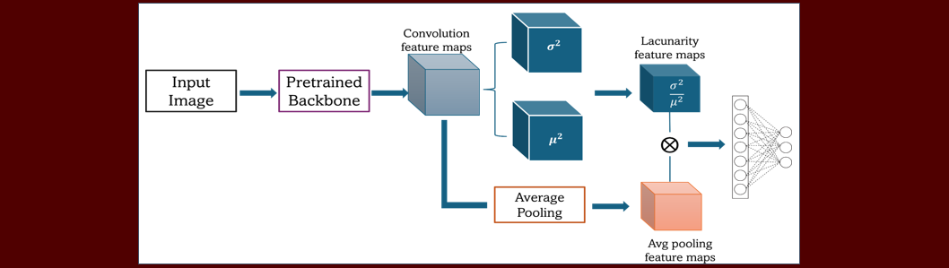 Lacunarity Pooling Visualization